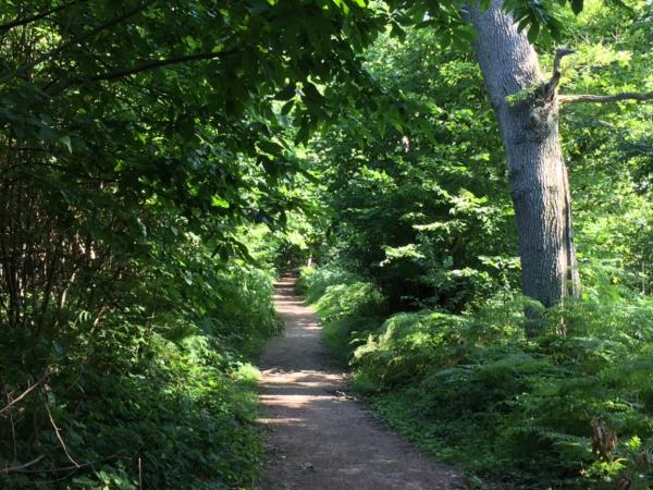 The North Downs Way hiking vacation