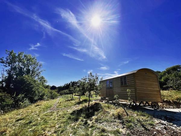Shepherds hut in South Downs