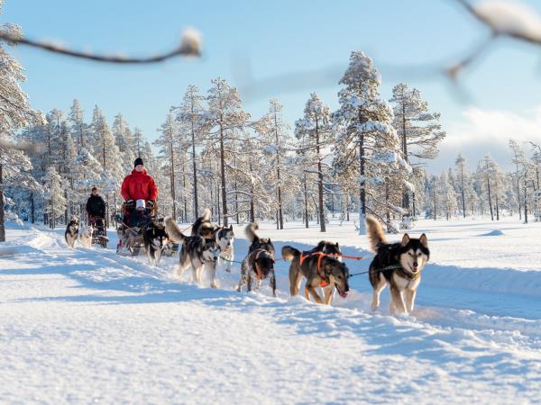 New Year in Sweden vacation