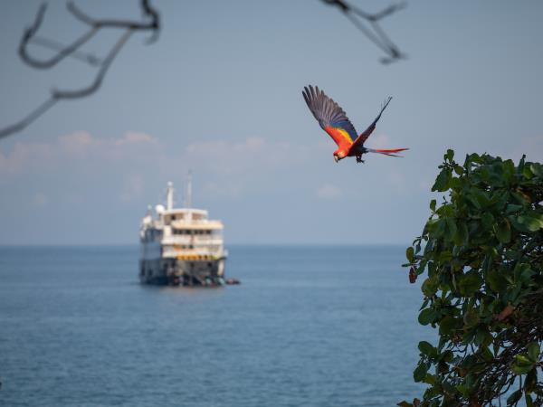 Costa Rica & Panama canal small ship cruise