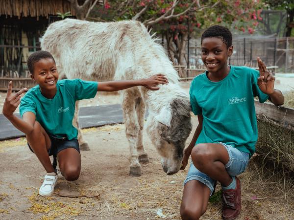 Volunteer with children & animals in South Africa