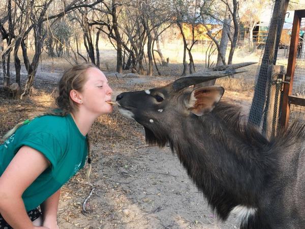 Volunteer with children & animals in South Africa