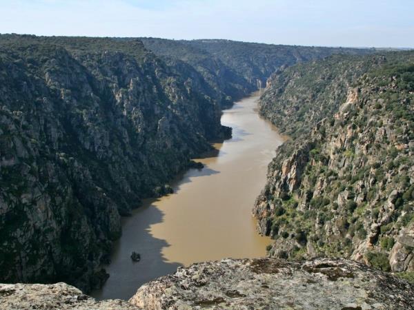 Self guided walking vacation in the Douro valley