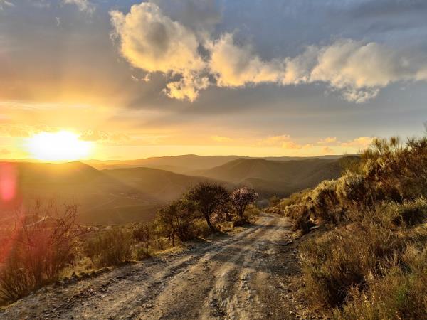 Self guided walking vacation in the Douro valley