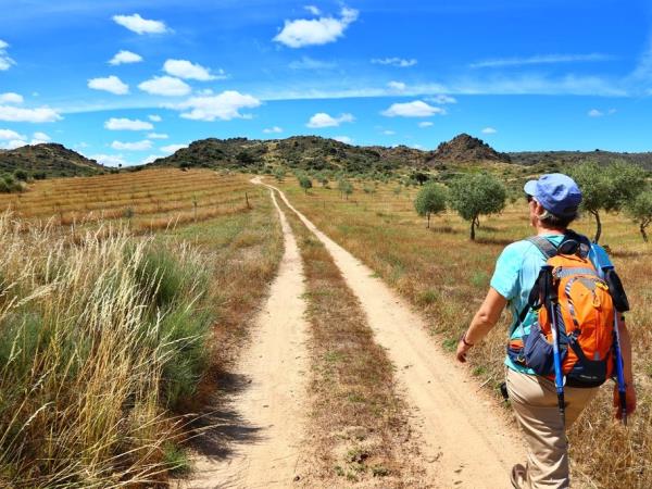 Self guided walking vacation in the Douro valley