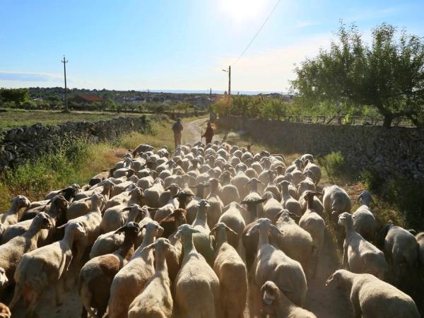 Self guided walking vacation in the Douro valley