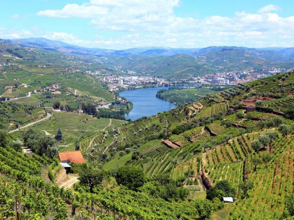 The Douro hiking tour in Portugal