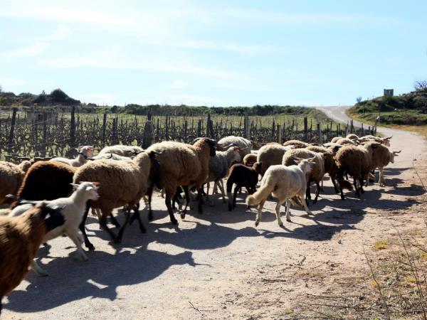 The Douro hiking tour in Portugal