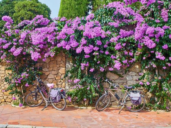 Catalonia self guided cycling vacation, Spain