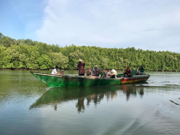 Sumatra orangutan experience, Indonesia