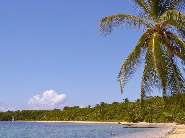 Trinidad & Tobago nature vacation