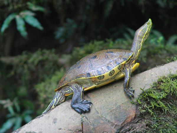 Costa Rica adventure vacation, tailor made