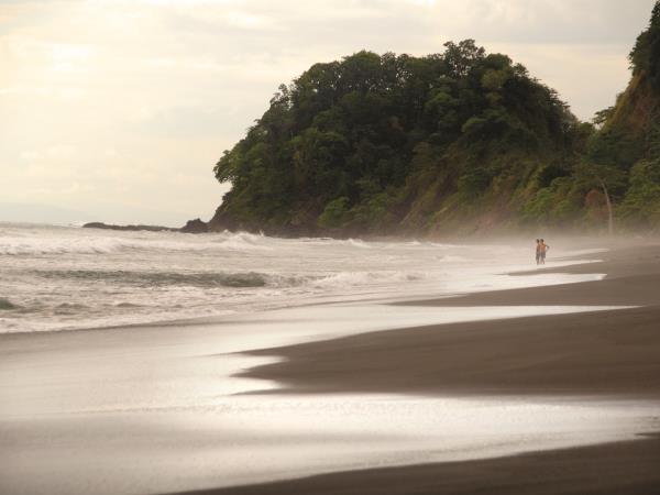 Costa Rica Wildlife tour, tailor made