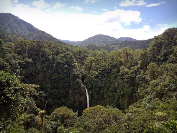 Costa Rica Wildlife tour, tailor made