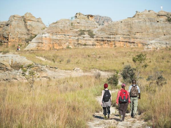 Madagascar birds and wildlife vacation