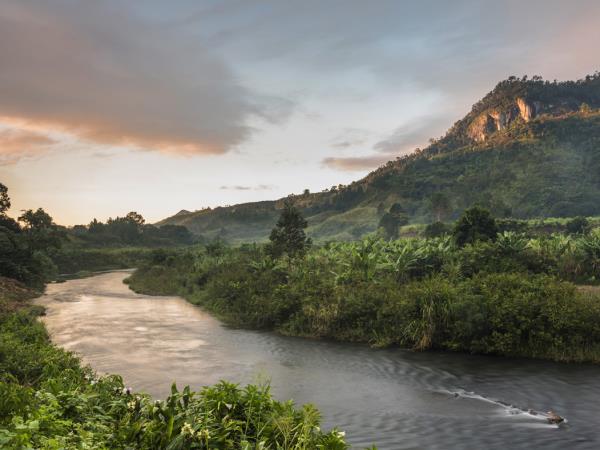 Madagascar birds and wildlife vacation