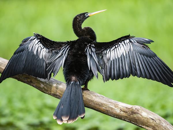 Costa Rica adventure vacation, tailor made