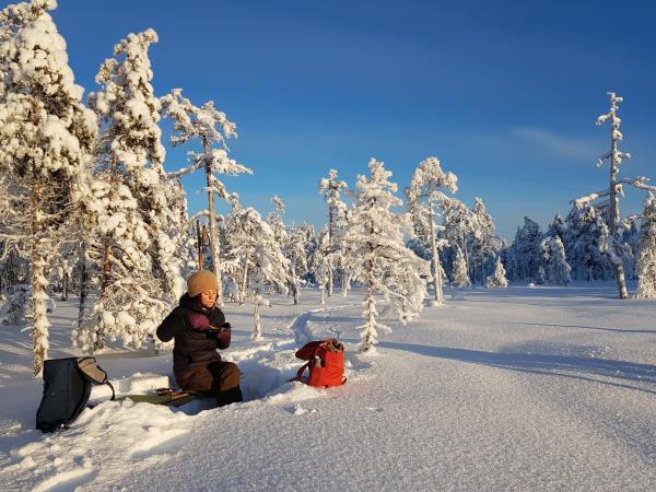 New Year in Sweden vacation