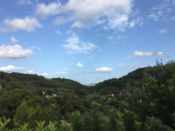 Vegan yoga retreat in Spain