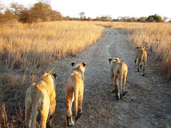 Cape Town to Cairo overland tour