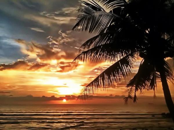 Family vacation to Thailand, jungles and islands