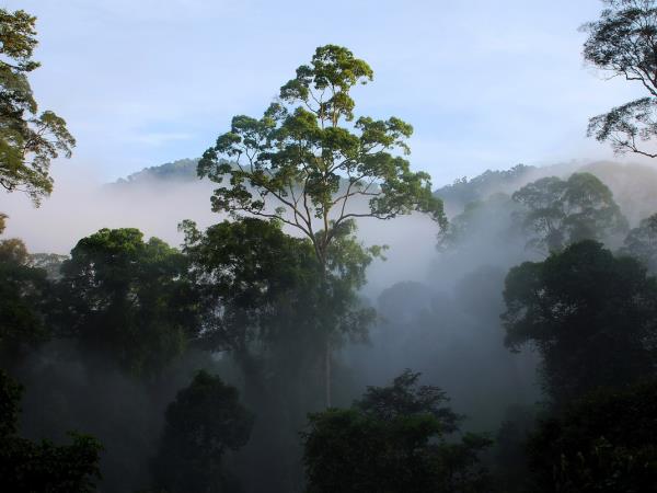 Borneo vacation, Land below the wind