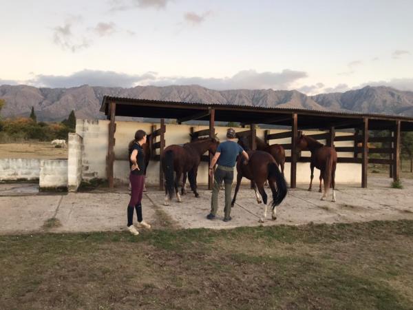 Horse riding vacation in Argentina