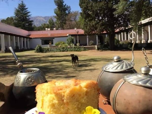 Horse riding trek in Argentina