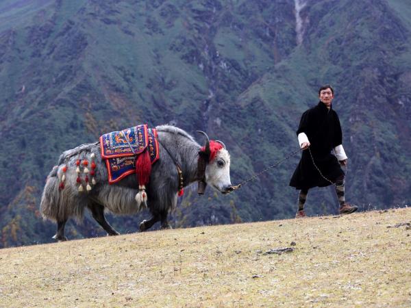 Bhutan luxury vacation, 8 days