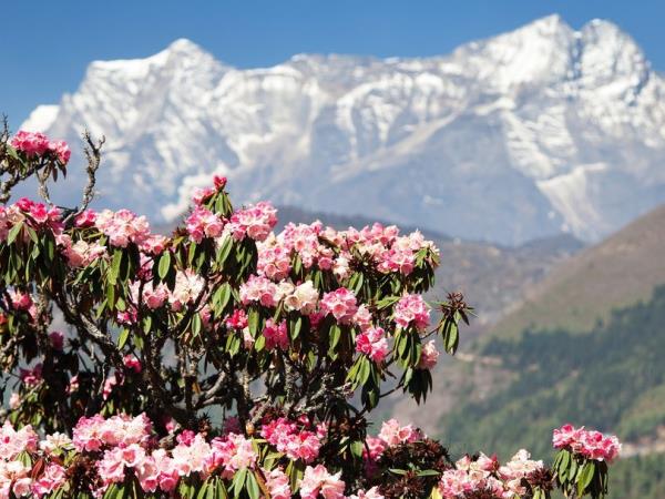 Pikey Peak trekking holiday in Nepal