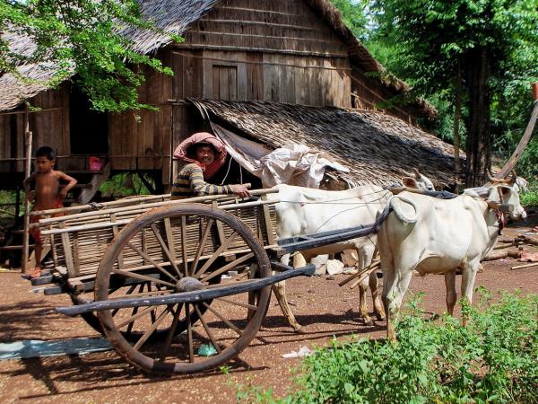 South Laos vacation, Mekong adventure