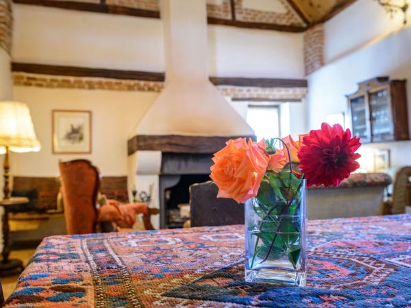 Discover Transylvania vacation