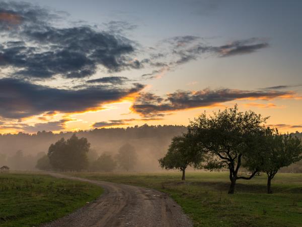Discover Transylvania vacation