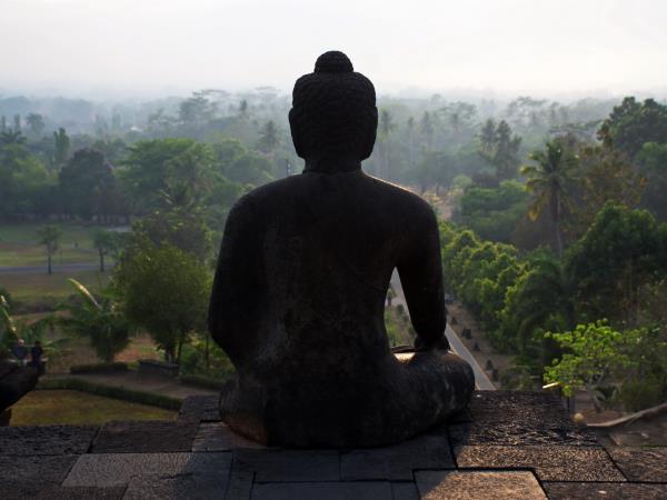 Java 12 day tour