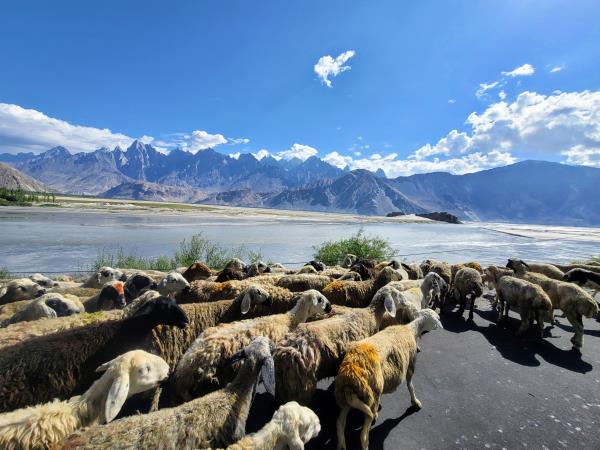 Nangma and Thallay La trek in Pakistan