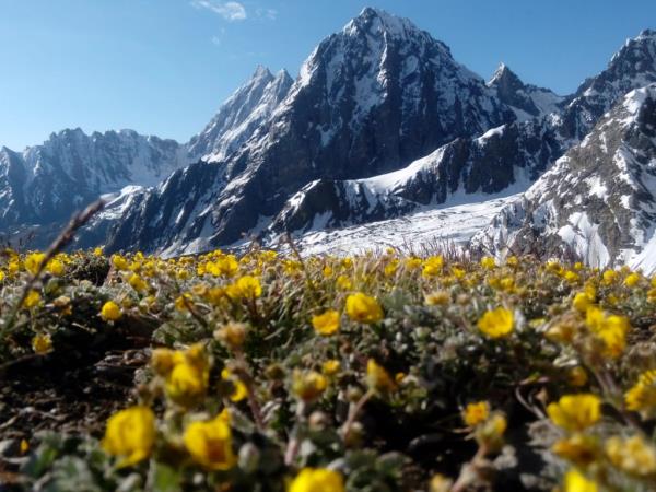 Nangma and Thallay La trek in Pakistan