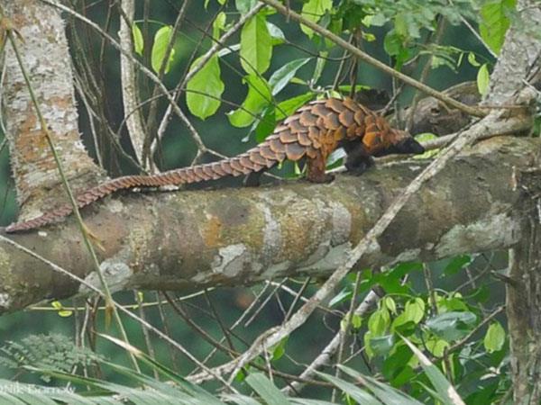Ghana tour off the beaten path