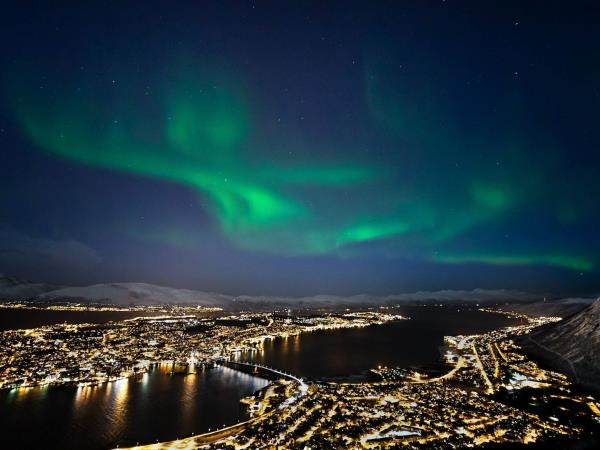 Northern Lights, whale watching cruise & husky safari