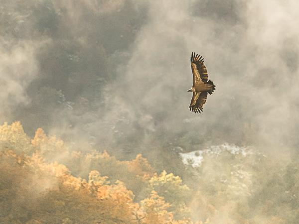 Photography holiday in Picos de Europa, Spain