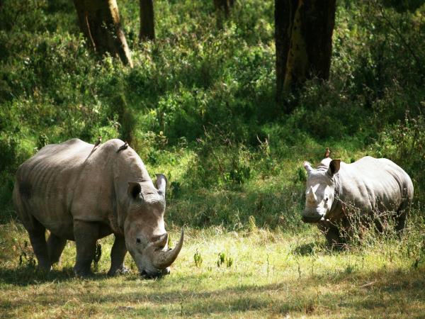Cairo To Nairobi overland tour