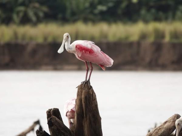 Wheelchair accessible vacation in Costa Rica