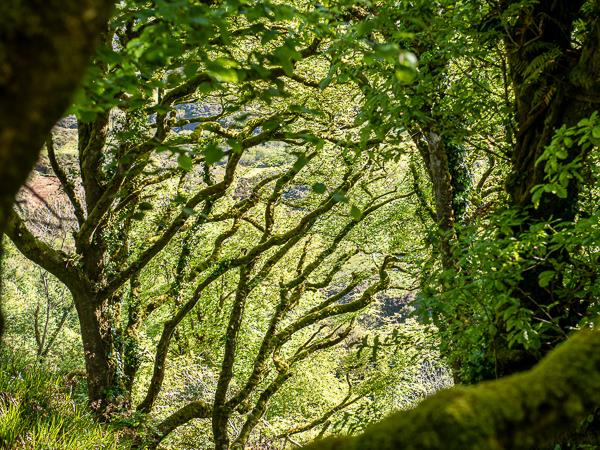 Ireland photography tour, Cork, Kerry & the Wild Atlantic Way