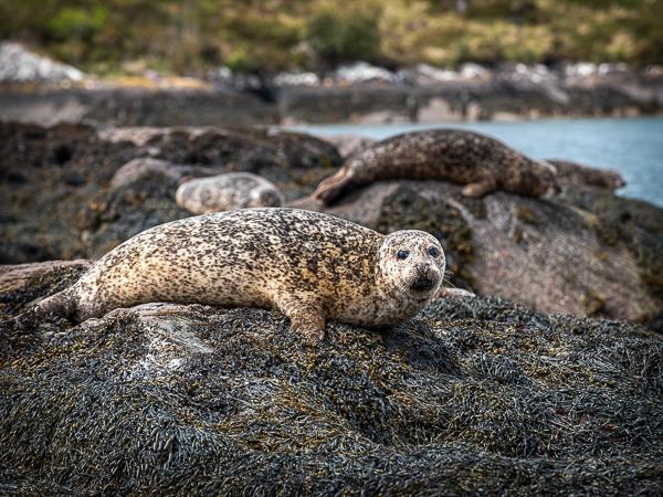 Ireland photography tour, Cork, Kerry & the Wild Atlantic Way