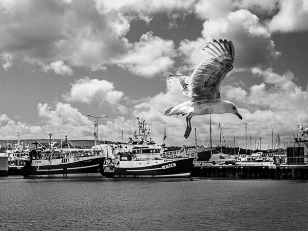 Ireland photography tour, Cork, Kerry & the Wild Atlantic Way