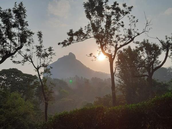 South India community volunteering vacation