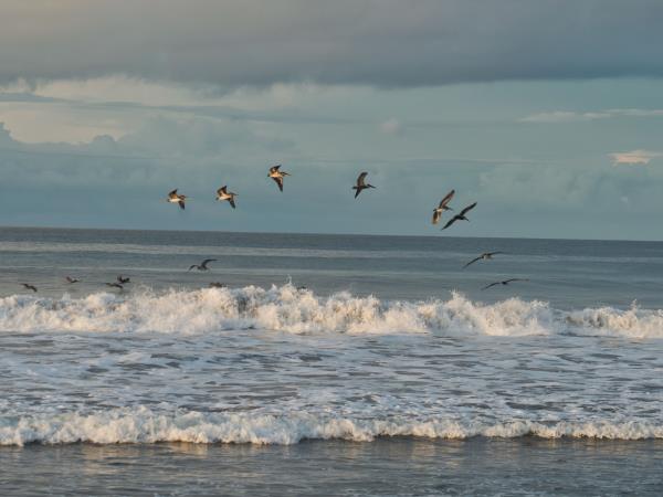 Electric bike cycling tour in Costa Rica