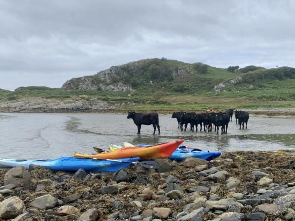 Scotland sea kayaking vacation, 8 days