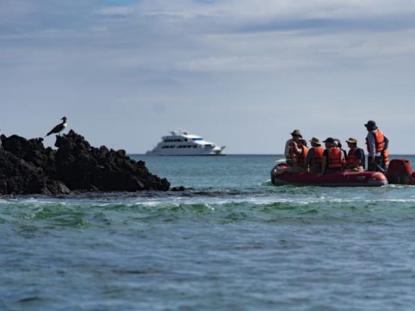 Galapagos eco cruising vacation