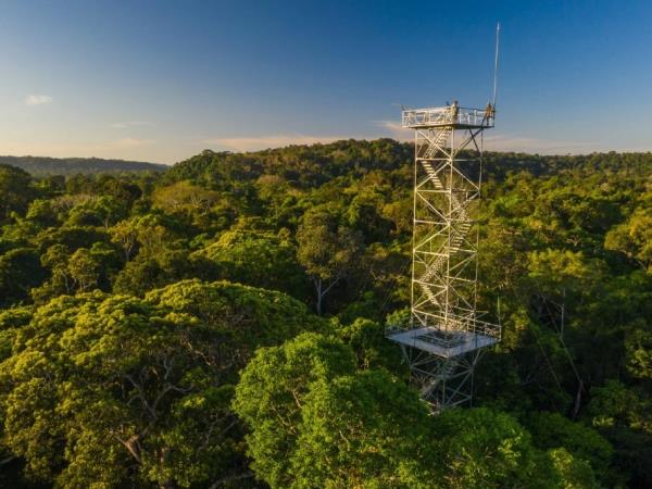 Brazil luxury wildlife and beach vacation holiday