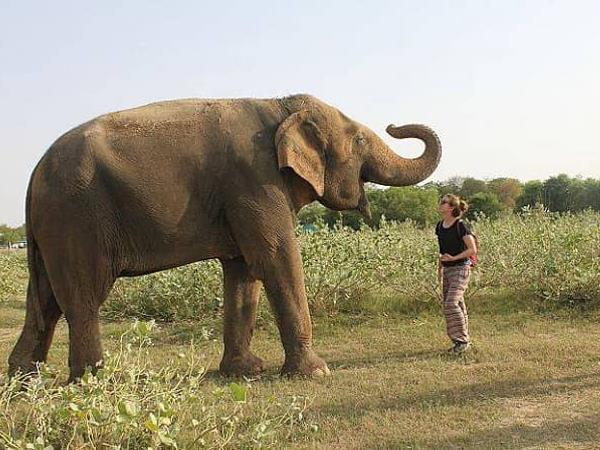 Wildlife and cultural tour in India